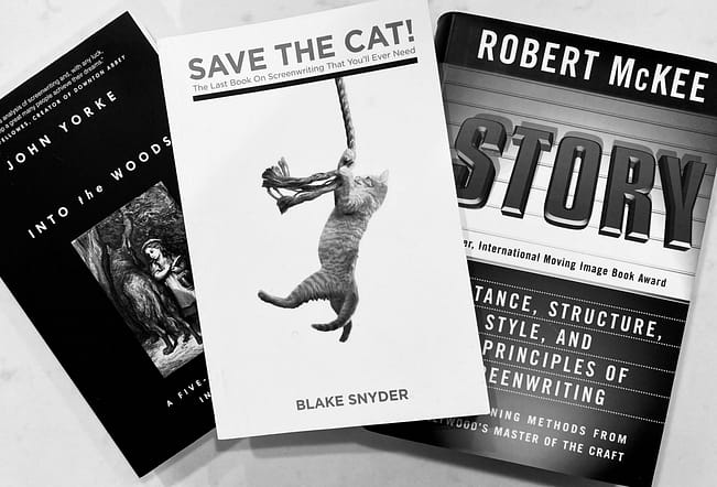 STBA Books story savethecat intothewoods scaled